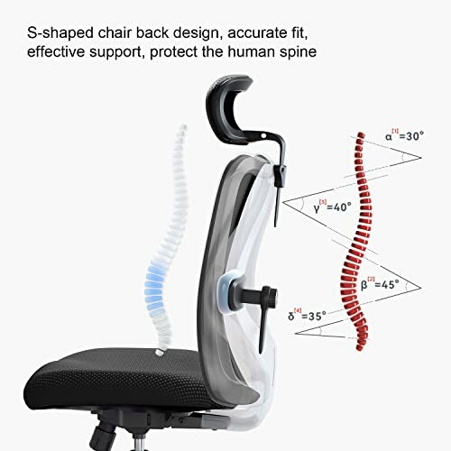 Ergonomic chair with S-shaped backrest supporting spine.