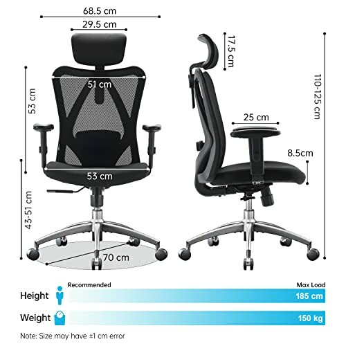 Ergonomic office chair with adjustable features and dimensions.